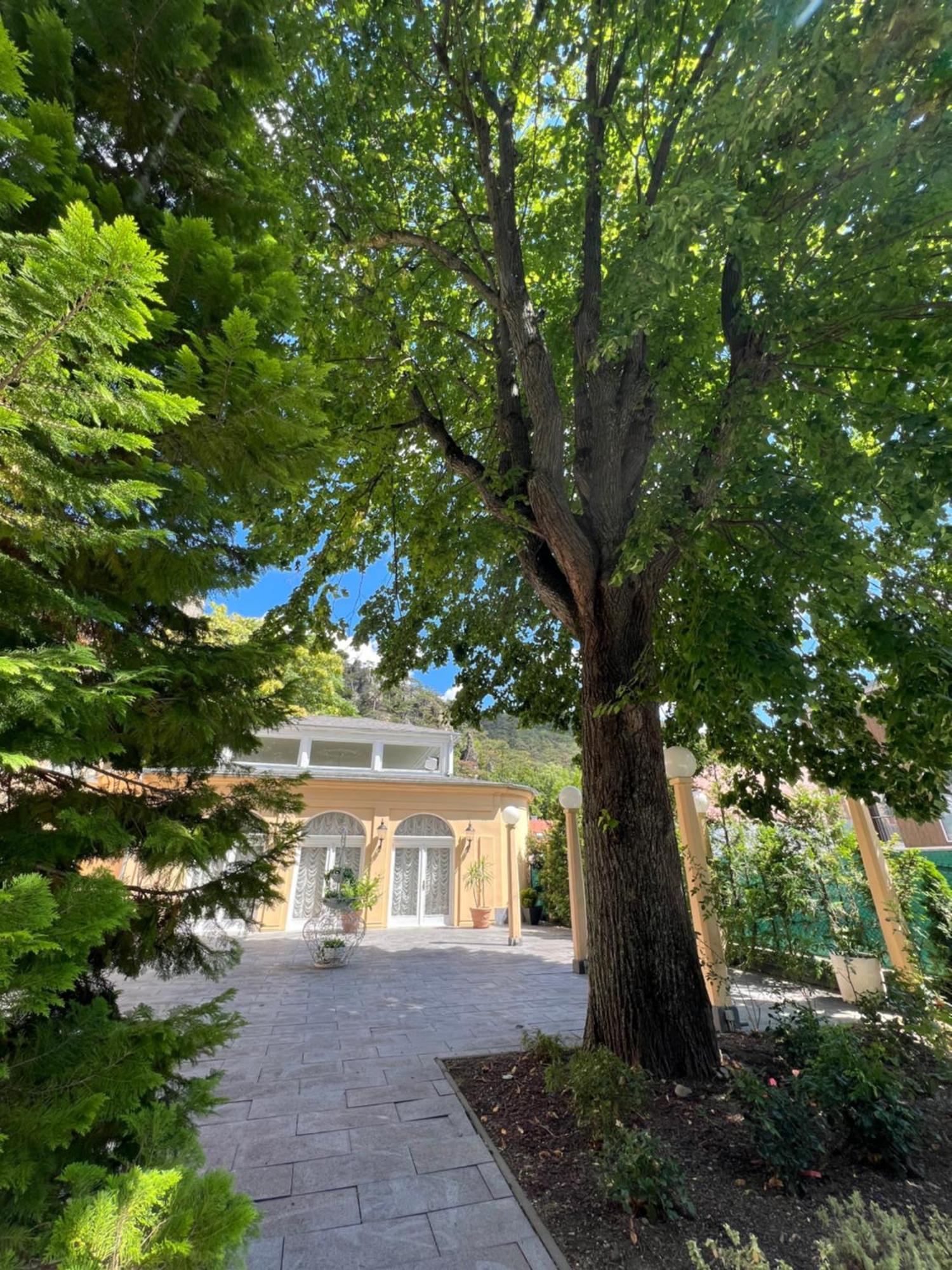 Wienerwald Residenz Baden Dış mekan fotoğraf